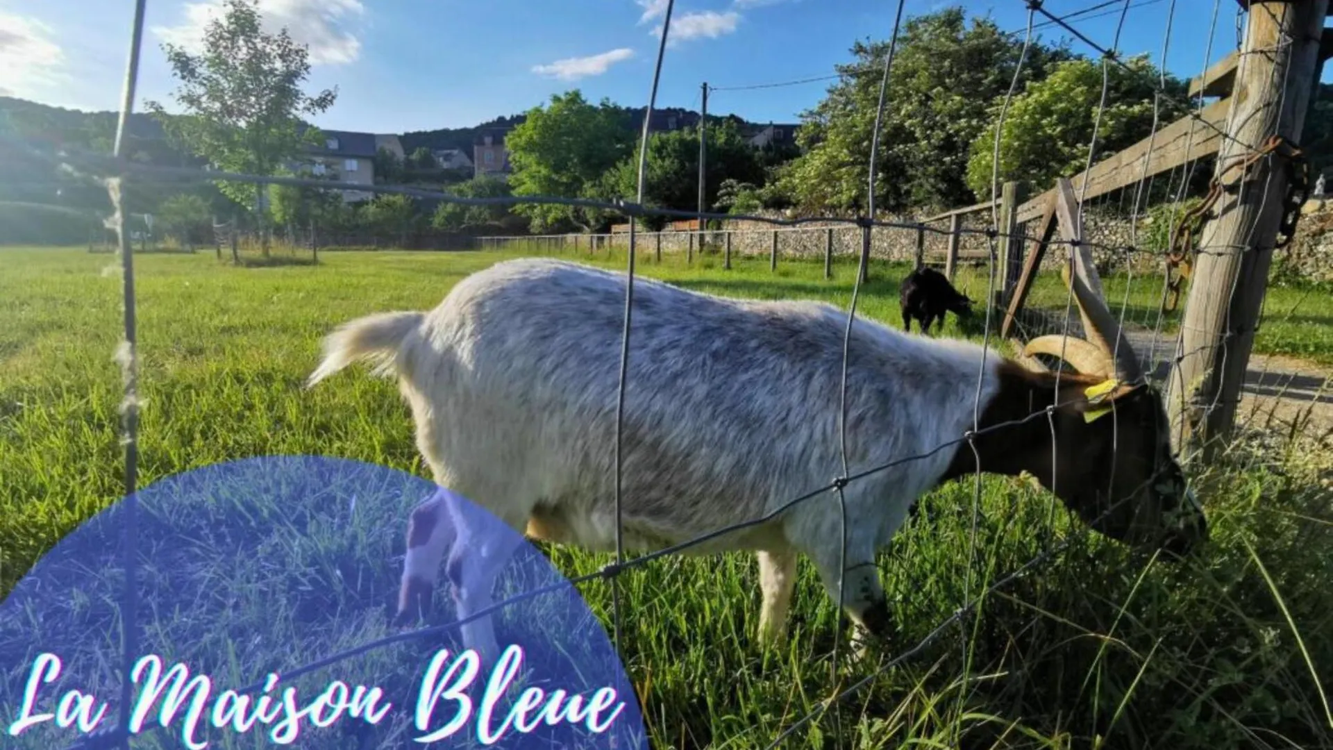 La Maison Bleue, Village Vacances, Piscine, Parking Saint-Geniez-dʼOlt 0*,  法国